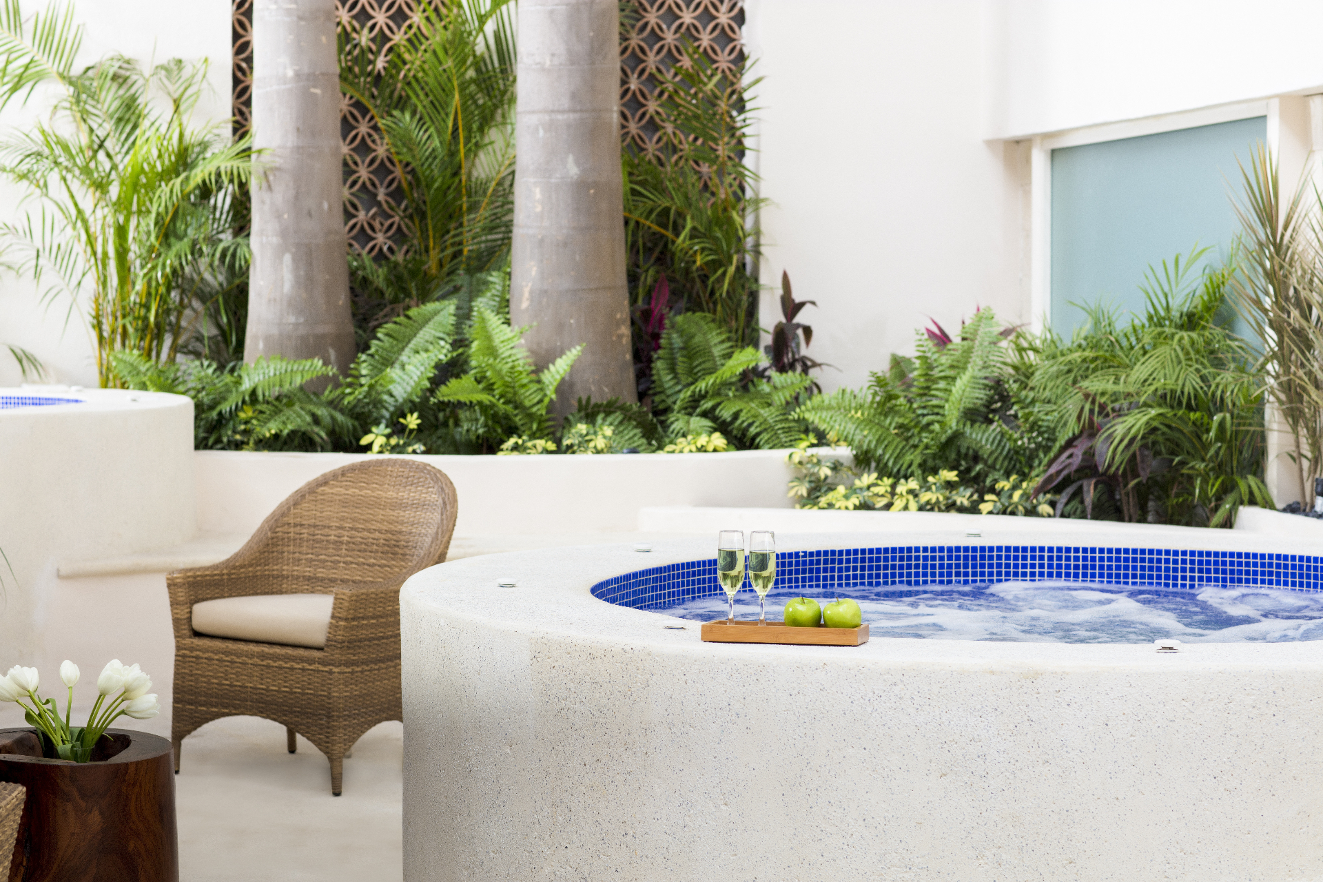 Wellness & Spa